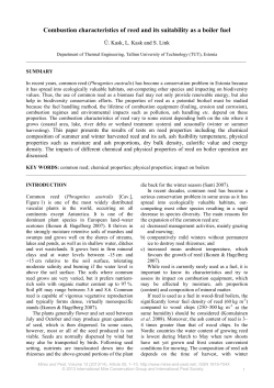 Combustion characteristics of reed and its