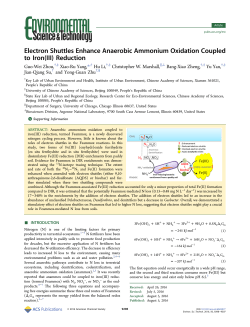 Electron Shuttles Enhance Anaerobic Ammonium Oxidation