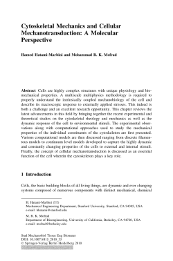 Cytoskeletal Mechanics and Cellular Mechanotransduction: A