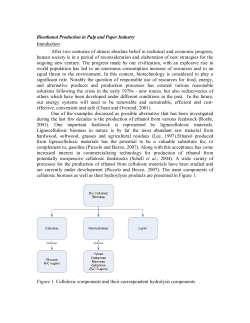 Bioethanol Production in Pulp and Paper Industry