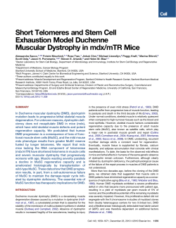 Short Telomeres and Stem Cell Exhaustion Model Duchenne