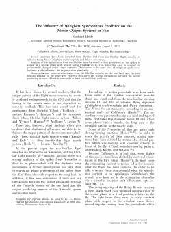 The Influence of Wingbeat Synchronous Feedback on