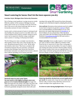 Smart watering for lawns: Don`t let the lawn