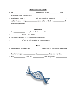 the _ deve &bull; we al we ha cells &bull; Cut _ &bull; _____ &bull; This i