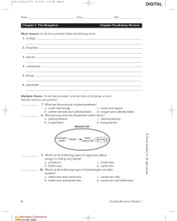 Ch. 3 Vocabulary Review