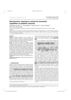Stoichiometric capacitance reveals the theoretical capabilities of