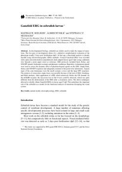 Ganzfeld ERG in zebrafish larvae