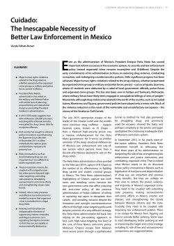 Cuidado: The Inescapable Necessity of Better Law Enforcement in