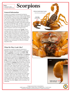 Scorpions - Orange County Mosquito and Vector Control District