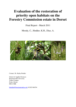 Open Habitat Restoration Report - Dorset
