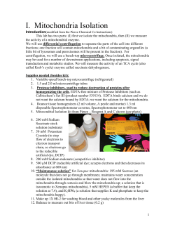 I. Mitochondria Isolation