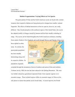 Lauren Beal Environmental Science Habitat Fragmentation: Varying