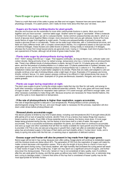 There IS sugar in grass and hay &middot; Sugars are the basic building