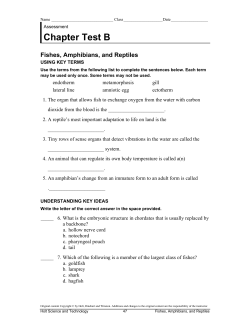 Chapter Test B Fishes, Amphibians, and Reptiles
