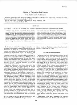 Etiology of Watermelon Rind Necrosis