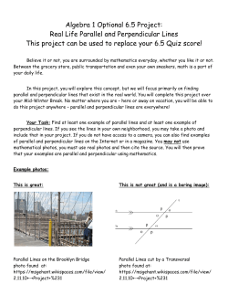 Algebra 1 Optional 6.5 Project: Real Life Parallel and Perpendicular
