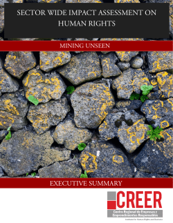 sector wide impact assessment on human rights