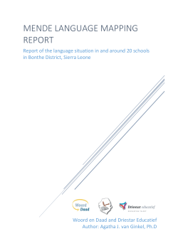 Mende Language mapping report