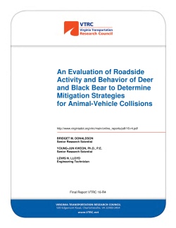 An Evaluation of Roadside Activity and Behavior of Deer