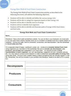 Decomposers Producers Consumers