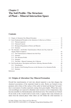 The Soil Profile: The Structure of Plant &ndash; Mineral Interaction Space