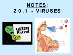 NOTES: 20.1 - Viruses (slideshow)