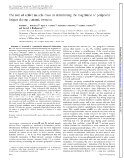 The role of active muscle mass in determining the magnitude of