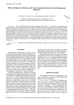 Effects of fungal root infections on the vigor of grapevines - Vitis-vea