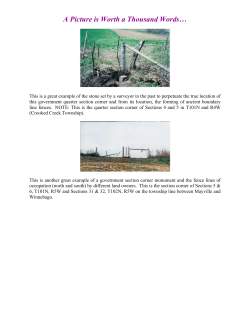 Monumentation Examples and Interesting Pictures