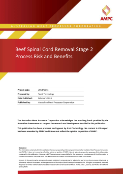 Beef Spinal Cord Removal Stage 2 Process Risk and Benefits