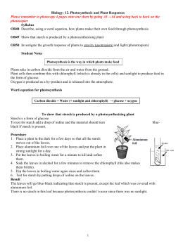 12. Photosynthesis and Plant Responses