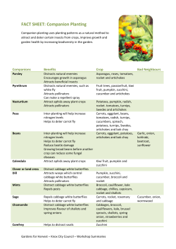FACT SHEET: Companion Planting