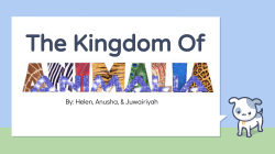 Animalia 2