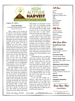 Bread Share Flavor - High Altitude Harvest