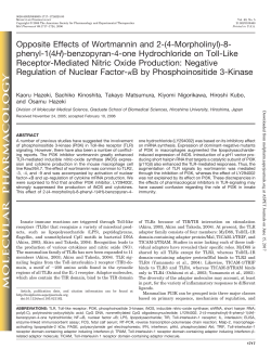 Opposite Effects of Wortmannin and 2-(4-Morpholinyl)-8- phenyl