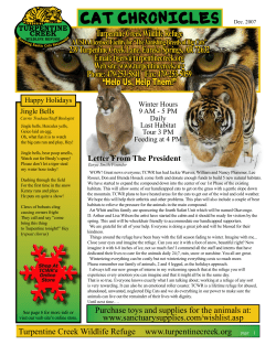 CAT CHRONICLES Dec. 2007 - Turpentine Creek Wildlife Refuge