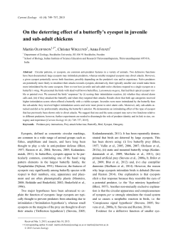 On the deterring effect of a butterfly`s eyespot in juvenile and sub
