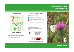 Countryside Walks - Pilgrims Hatch