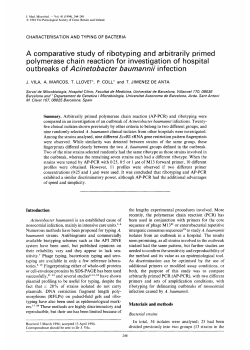 A comparative study of ribotyping and arbitrarily primed polymerase