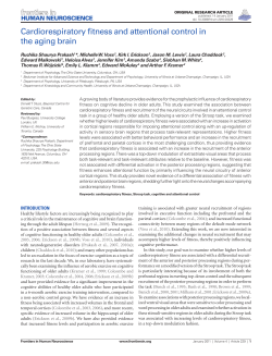 Cardiorespiratory fitness and attentional control in the aging brain