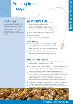 feedin sugar v8:Layout 1.qxd