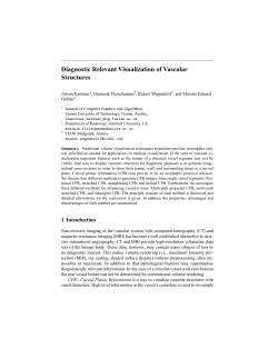 Diagnostic Relevant Visualization of Vascular Structures