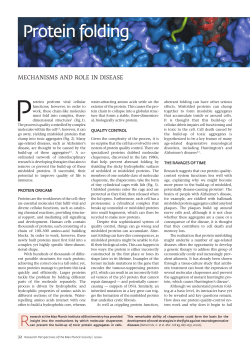 Protein folding - Max-Planck
