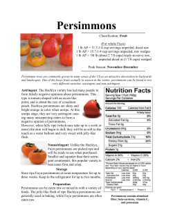 Persimmons - Cash