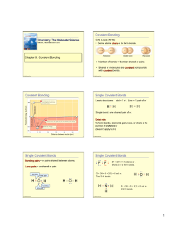 H &minus; H H H H O H H O H F F H O H H N H H