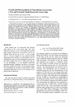 Growth and Photosynthesis of Nanochlorum