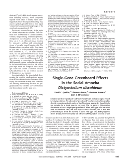 Single-Gene Greenbeard Effects in the Social Amoeba