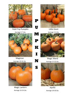 pumpkins - Anderson Farms
