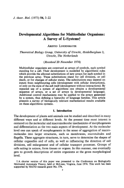 Developmental Algorithms for Multieellular Organisms