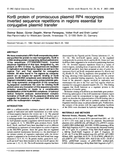KorB protein of promiscuous plasmid RP4 recognizes inverted